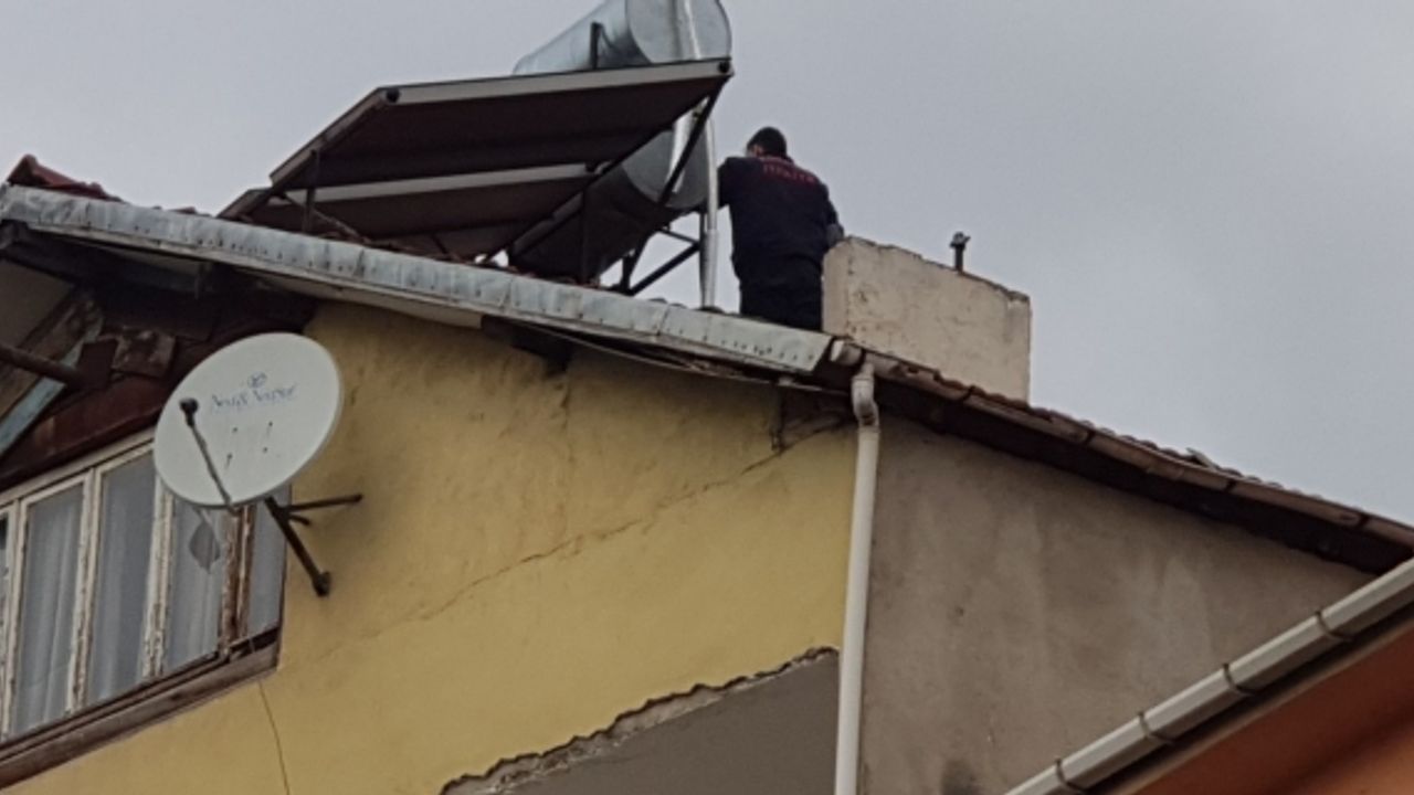 Evde beslediği hayvanlar yüzünden şikayet edilince intihar etmek istedi