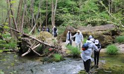 Körfez´in doğal güzelliklerinde trekking keyfi