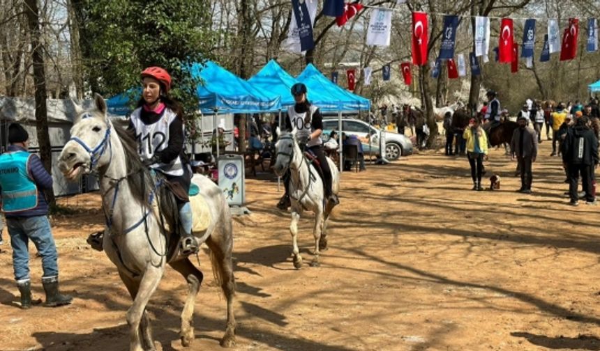 En dayanıklı atlar 120 km’lik parkurda yarıştı